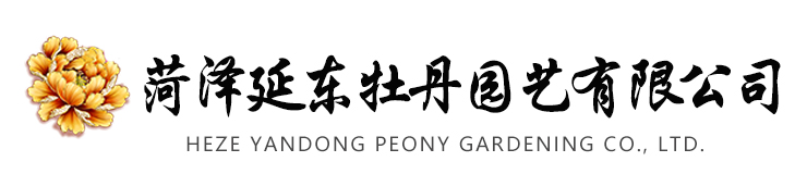 菏澤盛美牡丹苗木有限公司